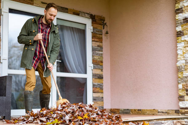 Yard Cleanup Services in Terrell Hills, TX